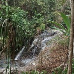 ランカウイ島 No.1 Langkawi, Malaysia　-Durian Perangin Waterfall, Tangjung Rhu Beach-  Hidemi Shimura