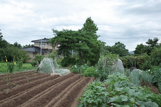 Kesennuma Oshima -Landscape during a walk 4-  Hidemi Shimura