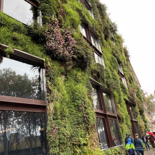 ケ・ブランリ美術館① パトリック・ブラン氏の垂直庭園 -Patrick Blanc's vertical garden- vertical garden, Paris, contemporaryart Hidemi Shimura