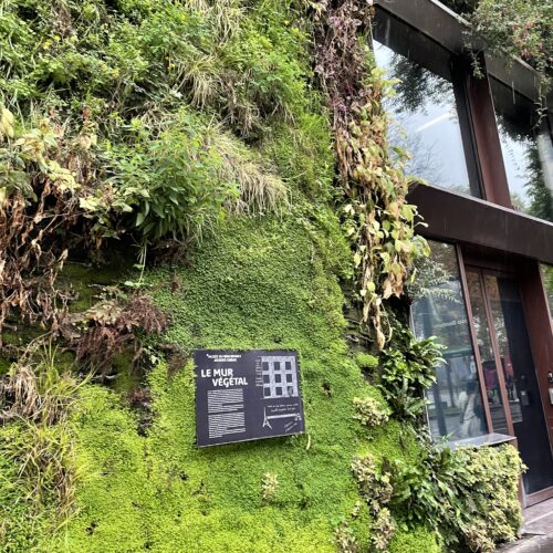 ケ・ブランリ美術館① パトリック・ブラン氏の垂直庭園 -Patrick Blanc's vertical garden- vertical garden, Paris, contemporaryart Hidemi Shimura