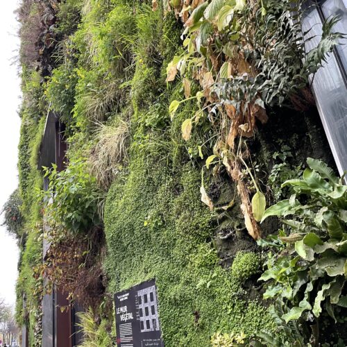 ケ・ブランリ美術館① パトリック・ブラン氏の垂直庭園 -Patrick Blanc's vertical garden- vertical garden, Paris, contemporaryart Hidemi Shimura