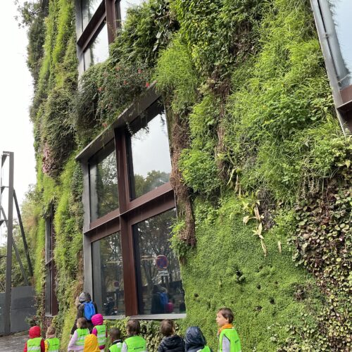 ケ・ブランリ美術館① パトリック・ブラン氏の垂直庭園 -Patrick Blanc's vertical garden- vertical garden, Paris, contemporaryart Hidemi Shimura