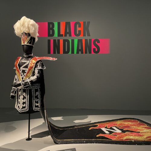 ケ・ブランリ美術館③ 企画展 "Black Indians from New Orleans" について 現代美術, マルディグラ, contemporaryart Hidemi Shimura