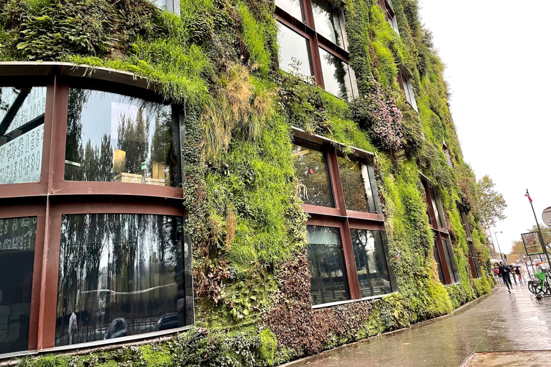 ケ・ブランリ美術館① パトリック・ブラン氏の垂直庭園 -Patrick Blanc's vertical garden- vertical garden, Paris, contemporaryart Hidemi Shimura